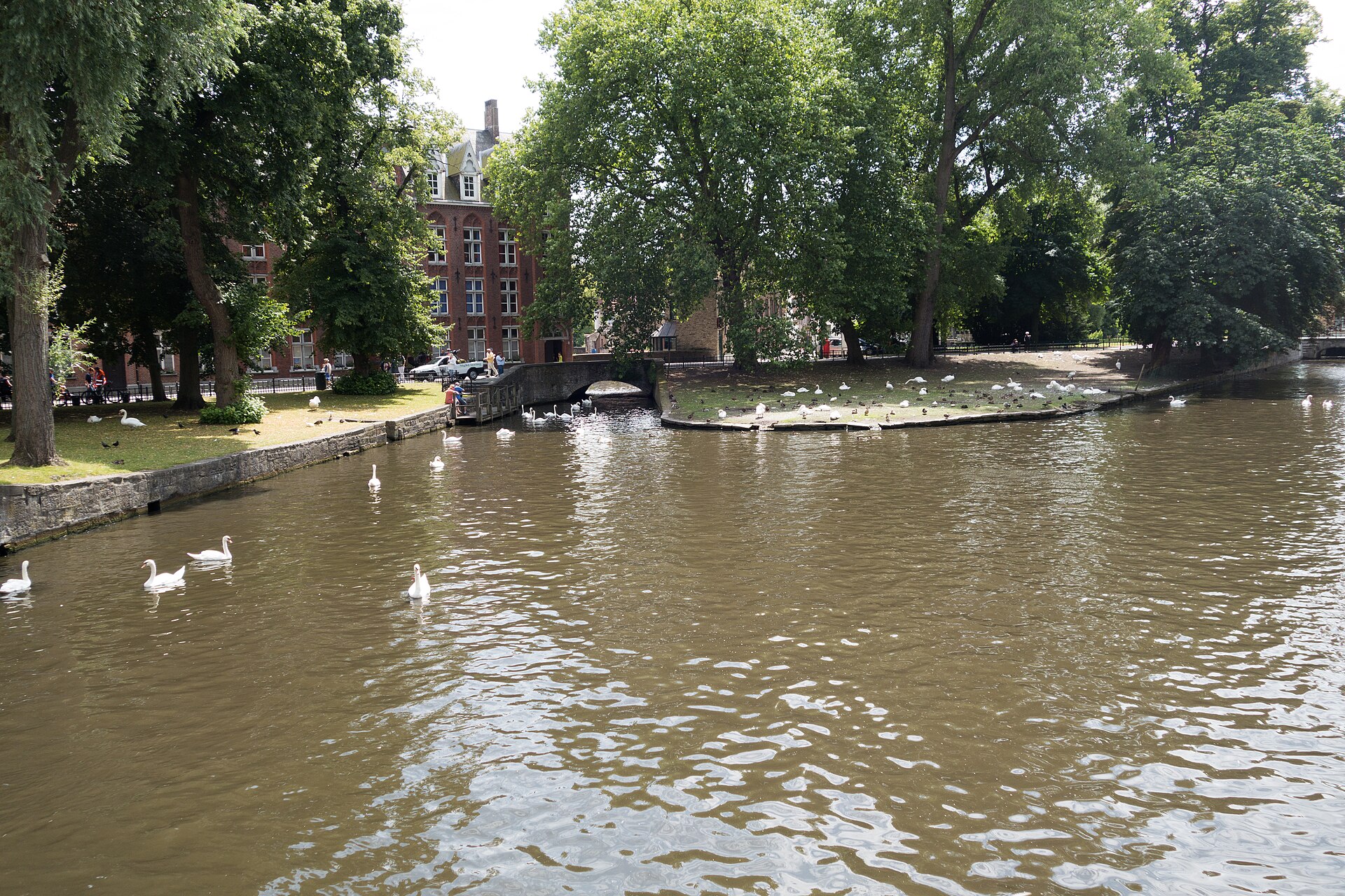 Suite du Cygne