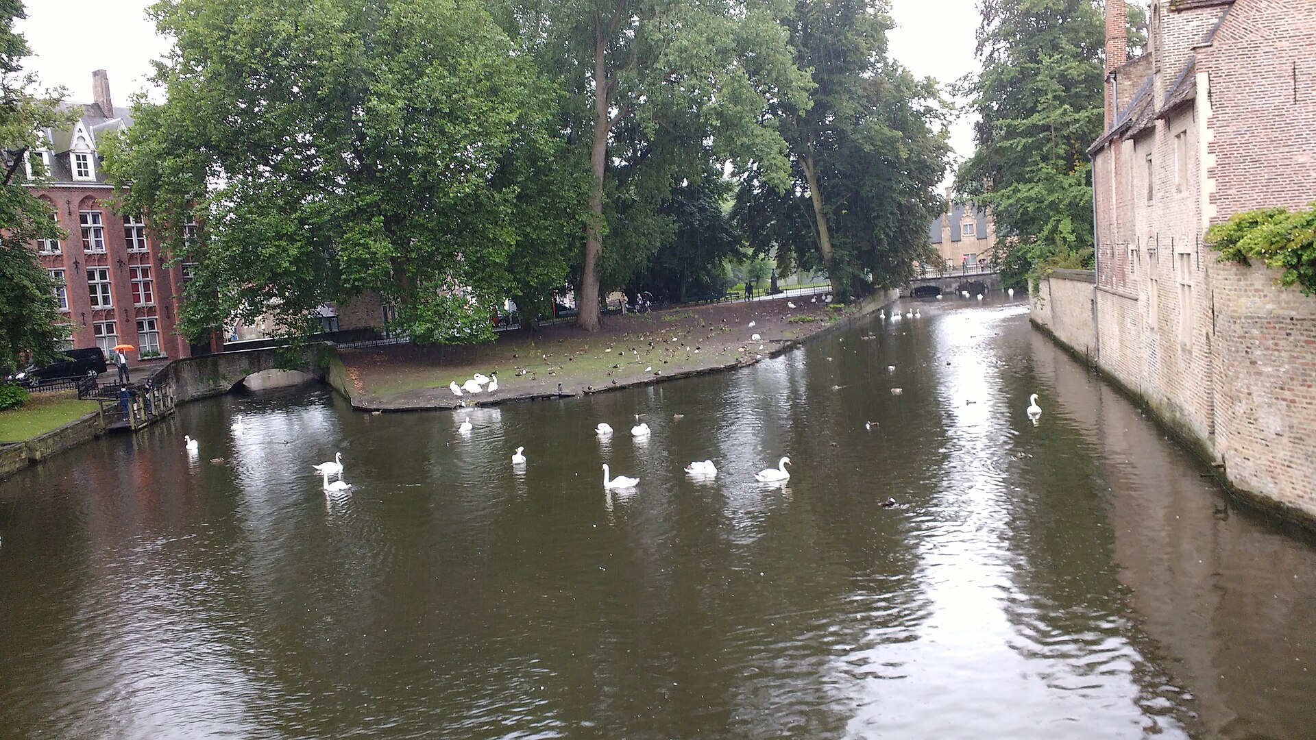 Suite du Cygne